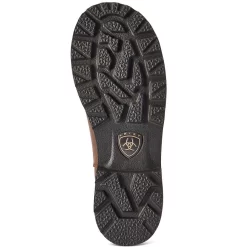 Ariat Women's Fatbaby Twin Gore Boots -Western Fashion Ladies img11869 ariat women s fatbaby twin gore boots